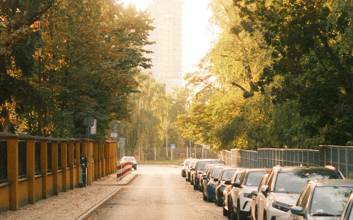 Fila de autos estacionados a un lado de una calle con árboles en una mañana con neblina
